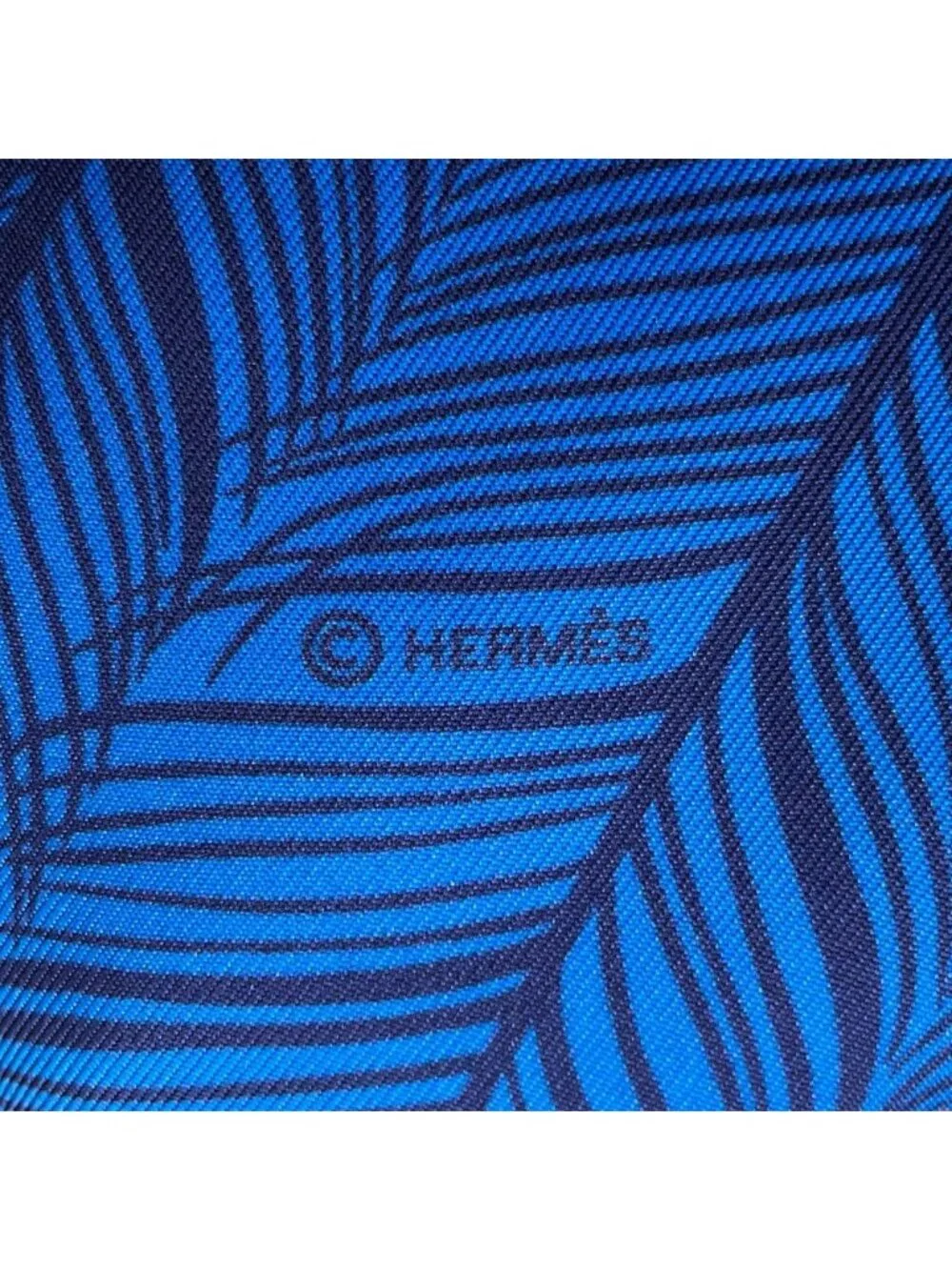 Hermes Scarf Maxi Twillie Zebra Pegasus Shawl